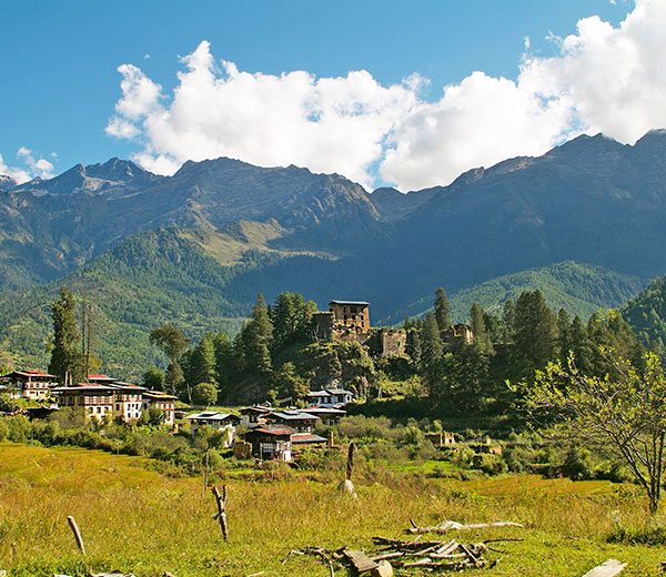 Paro